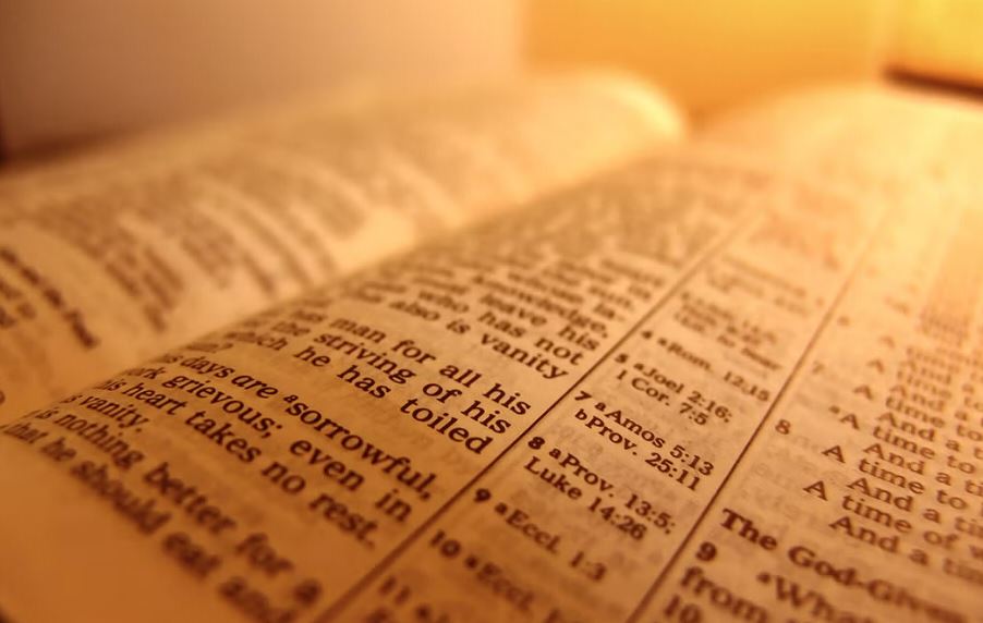 Biblically Grounded Education